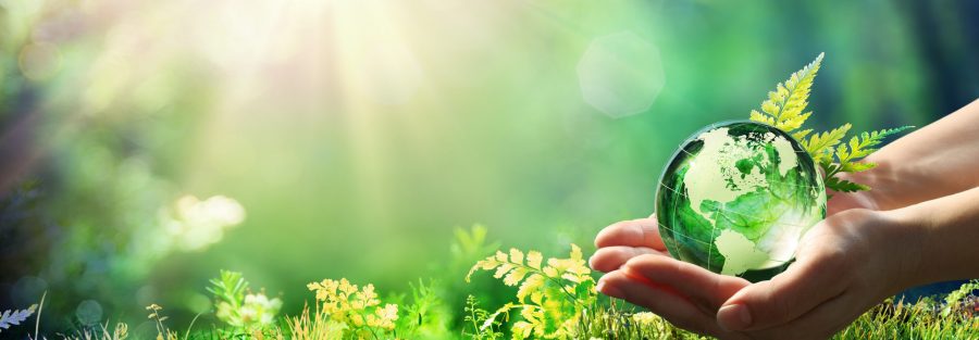 ¿Qué es la huella de Carbono?