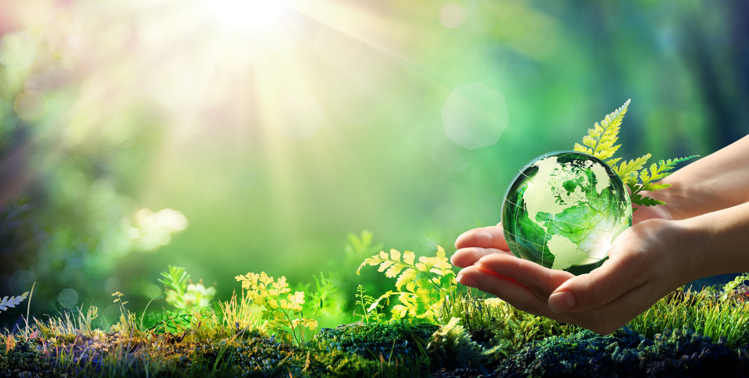 ¿Qué es la huella de Carbono?
