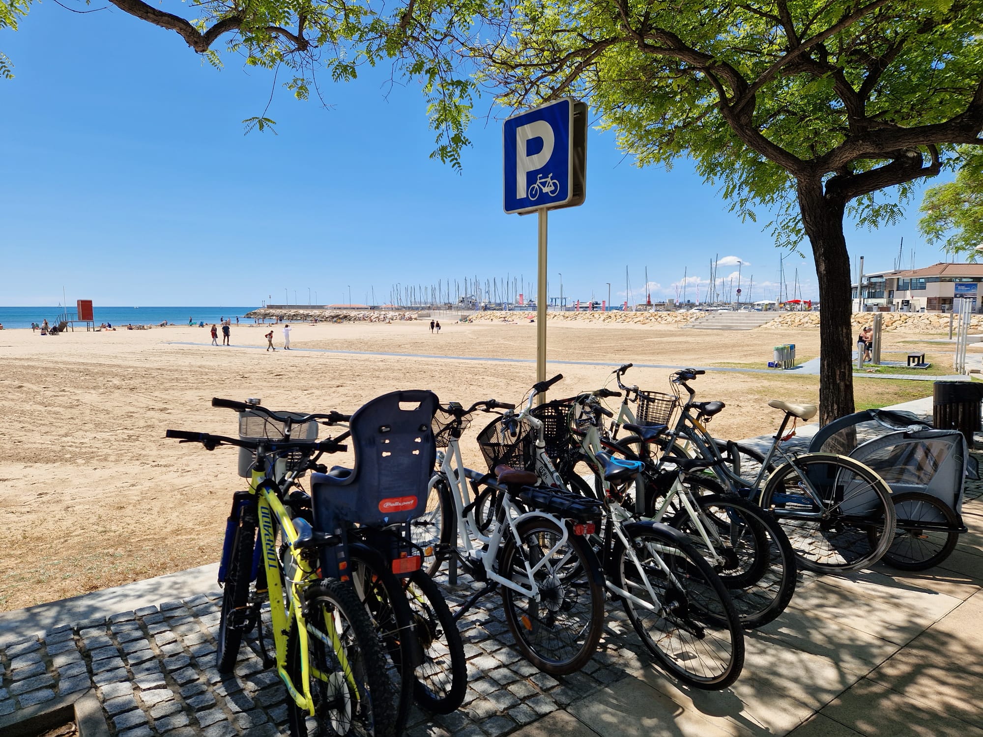 Bicicletas